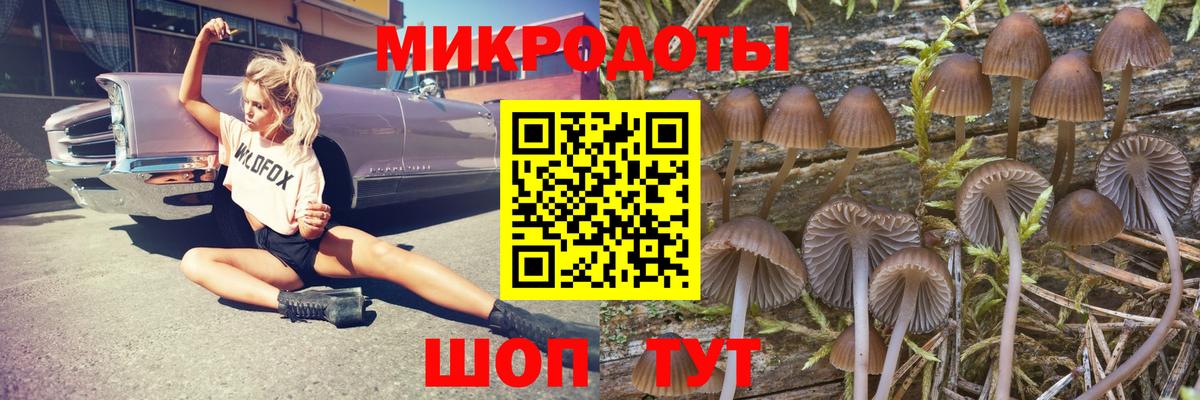 наркошоп  Галлюциногенные грибы мицелий  Вход с VPN  Галлюциногенные грибы мухоморы  Минусинск 